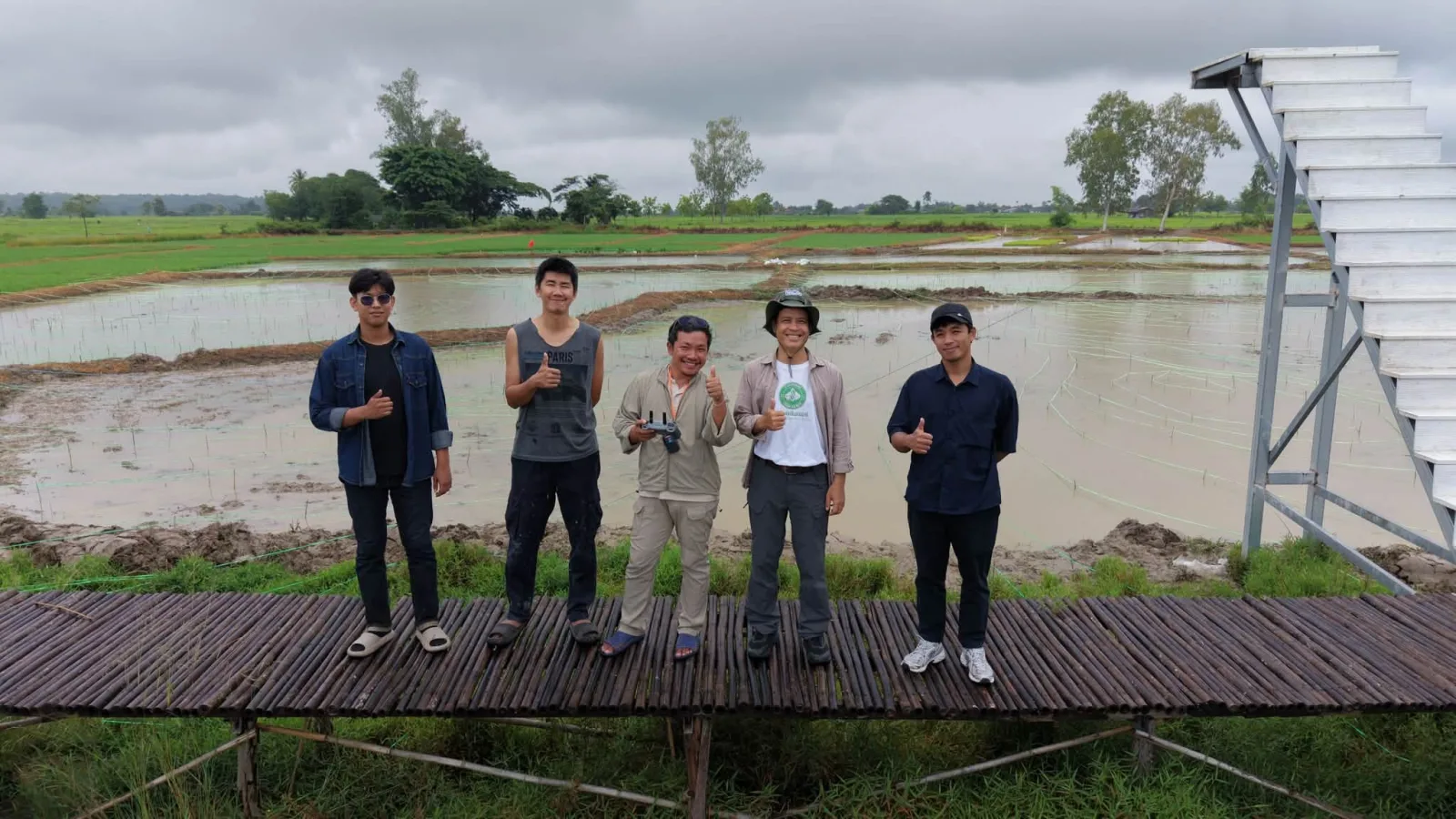 🌾“ข้าวคลีนแอร์” เปลี่ยนนาผืนเดิม ให้เป็นงานศิลปะ