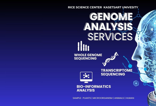 รับสมัครงานผู้ช่วยนักวิจัย  1 ตำแหน่ง ด้าน Bioinformatics