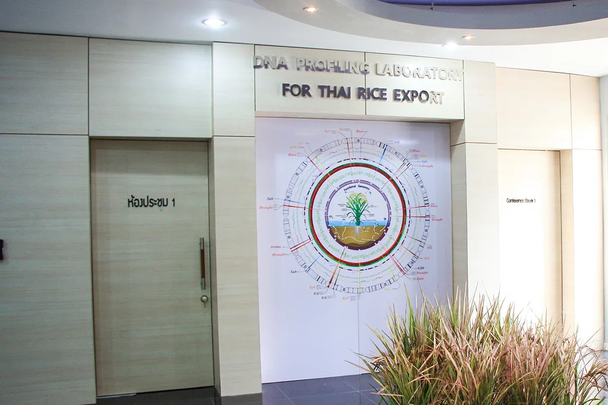 Opening of the DNA Profiling Laboratory for Thai Rice Export