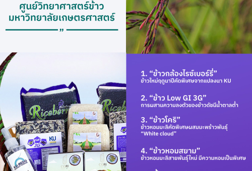 สนใจสั่งซื้อผลิตภัณฑ์นวัตกรรมงานวิจัยจากศูนย์วิทยาศาสตร์ข้าว  สำหรับของขวัญปีใหม่ปีใหม่