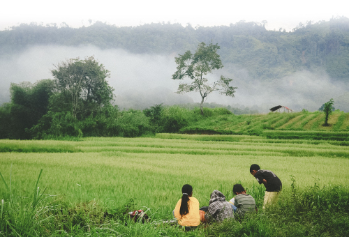 พันธุ์ข้าวที่พร้อมรับมือสภาพภูมิอากาศ ที่ทรงคุณค่าทางโภชนาการสูง