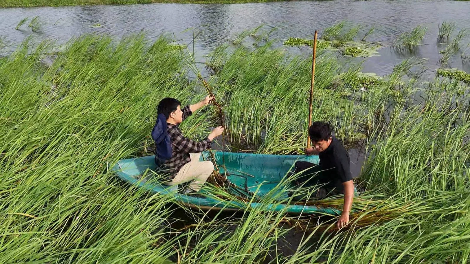 “ล่องเรือมาหาข้าวสักต้น รวยหรือจนให้ใจรักแน่ ￼”