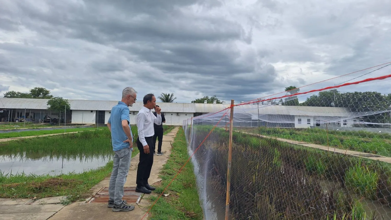 Rice Science Center, KU, Welcomes a Thai-German Research Team to Exchange Knowledge and Build on Plant Phenotyping Research