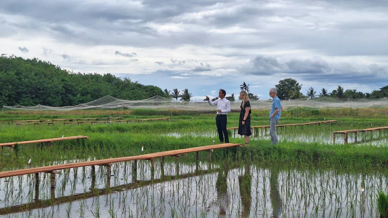 Rice Science Center, KU, Welcomes a Thai-German Research Team to Exchange Knowledge and Build on Plant Phenotyping Research