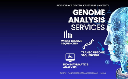 รับสมัครงานผู้ช่วยนักวิจัย  1 ตำแหน่ง ด้าน Bioinformatics