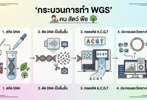 ถอดรหัสพันธุกรรมทั้งจีโนม (Whole Genome Sequencing - WGS)