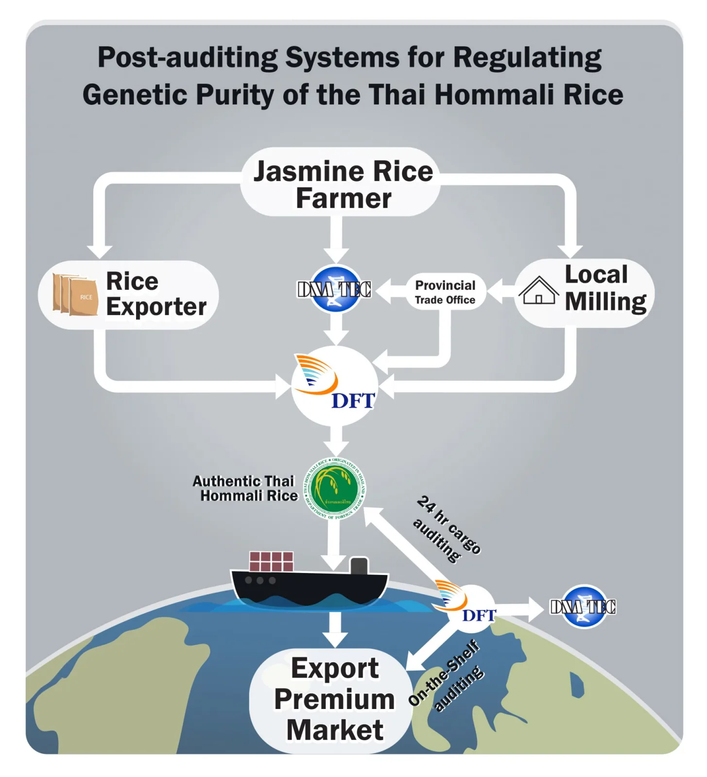 How DNA technology helps control the premium quality of Thai Hom Mali Rice
