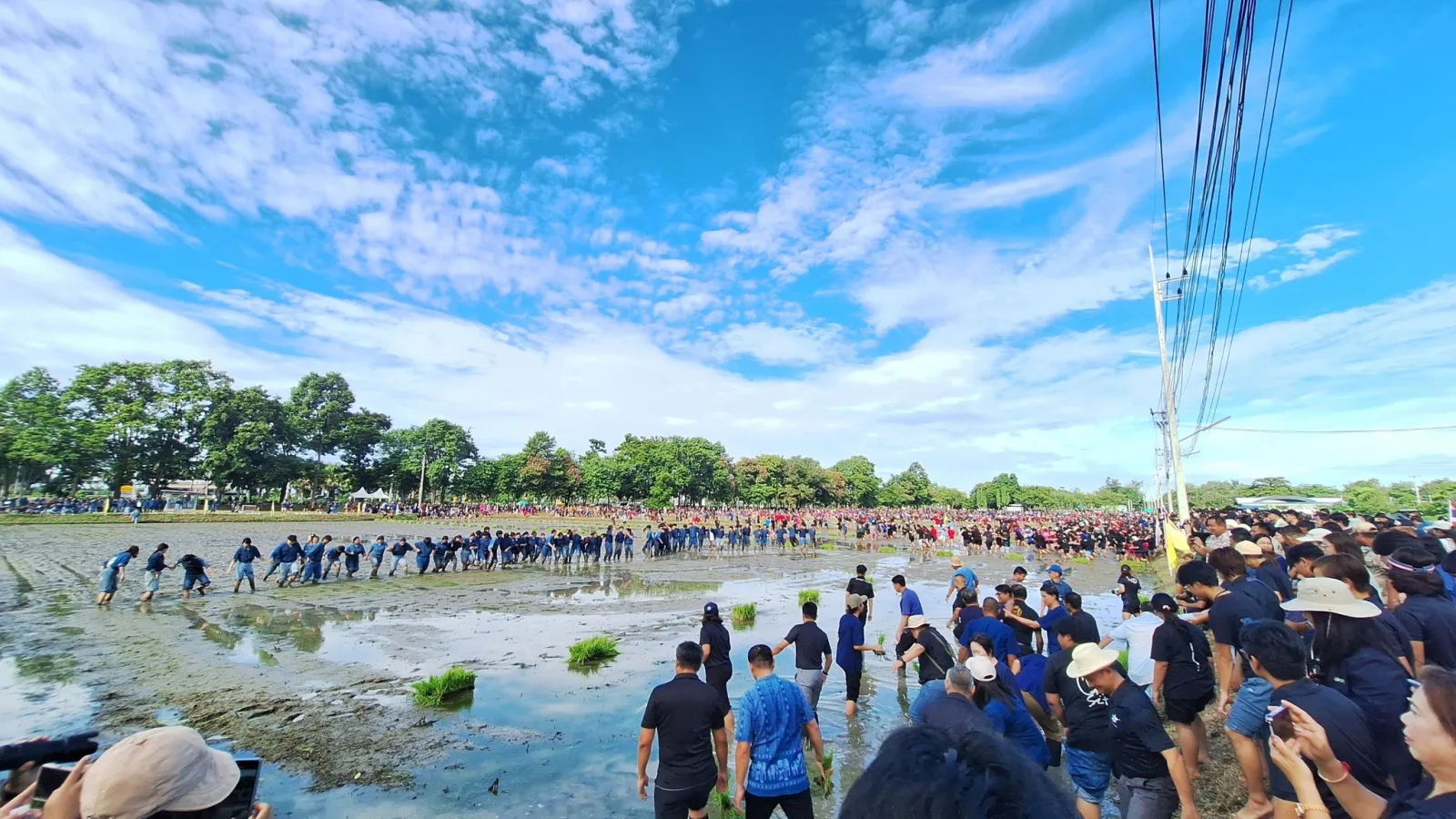 ศูนย์วิทยาศาสตร์ข้าว มก. ร่วมปลูกข้าววันแม่แห่งชาติ 2569 เพื่อร่วมรำลึกและน้อมสำนึกในพระมหากรุณาธิคุณ   สืบสานประเพณี วิถีชีวิตชาวนาไทย