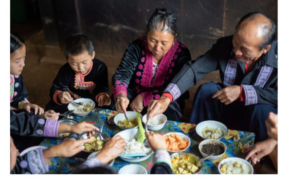 Combatting NCDs using Plant-based Proteins and Animal-Waste Products