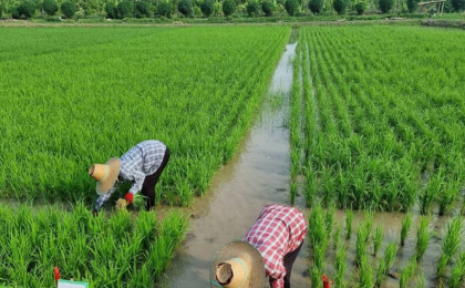 ประกาศรับสมัครงาน ผู้ช่วยนักวิจัย ป.ตรี
