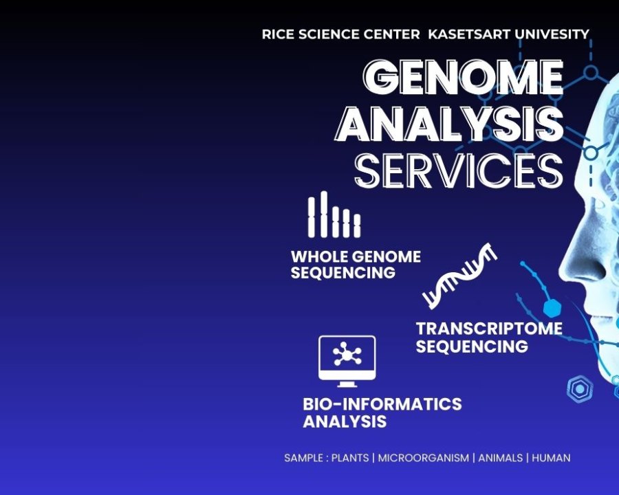 Recruitment: Research Assistant, 1 Position, Bioinformatics