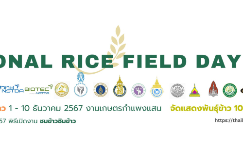 National Rice Field Day2024 งานเกษตรกำแพงแสน 2567 1-10 ธันวาคม 2567
