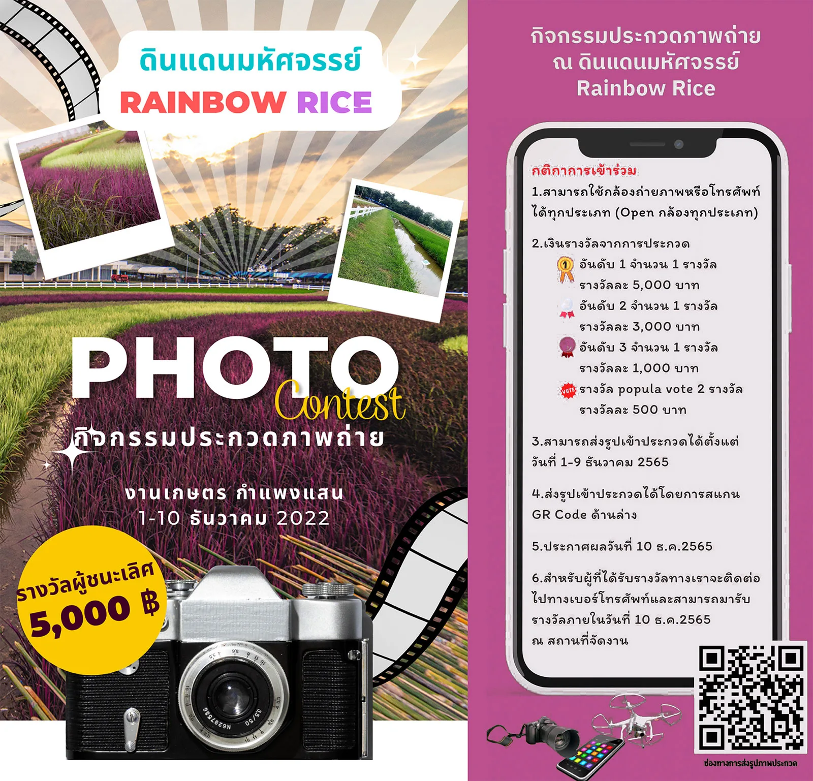 Come Visit and Take Photos of Rainbow Rice at the Kaset Fair, 1–10 December 2022