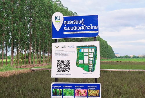 ศูนย์เรียนรู้ระบบนิเวศข้าวไทย