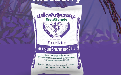 เมล็ดพันธุ์ข้าวไรซ์เบอร์รี่  (2569) พร้อมจัดส่ง