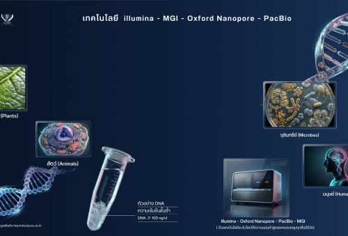 Service งานบริการด้านจีโนม