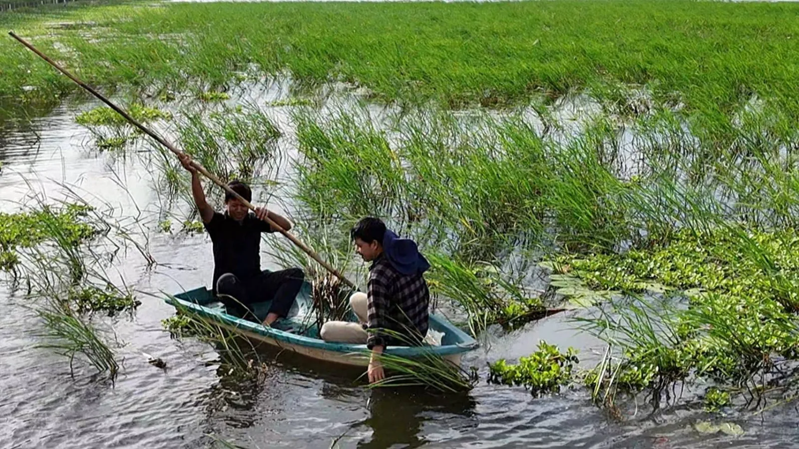 “ล่องเรือมาหาข้าวสักต้น รวยหรือจนให้ใจรักแน่ ￼”