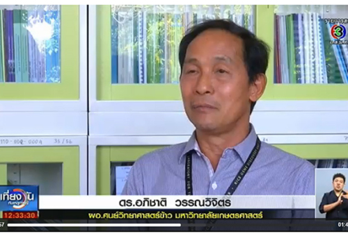 เร่งวิจัยพันธุ์ข้าว ทนกับสภาพอากาศเปลี่ยนแปลง