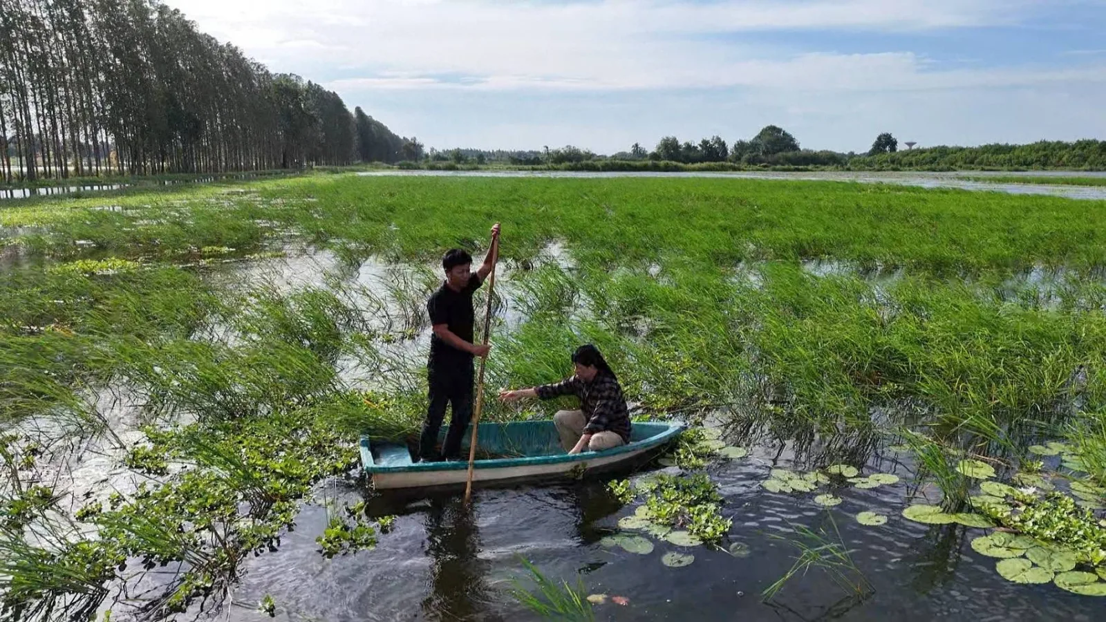 “ล่องเรือมาหาข้าวสักต้น รวยหรือจนให้ใจรักแน่ ￼”