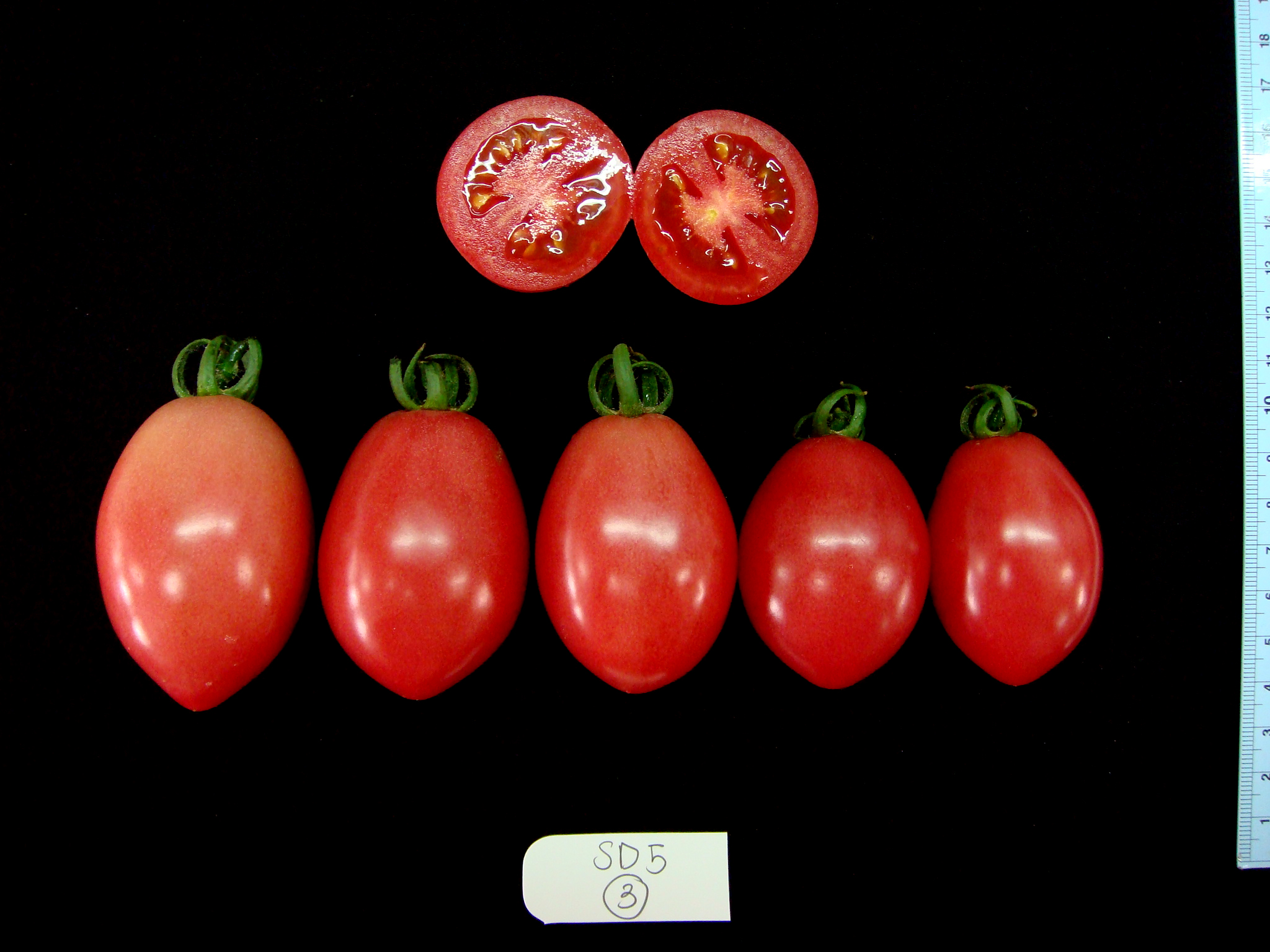 tomatomics