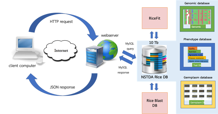 Rice database system architecture