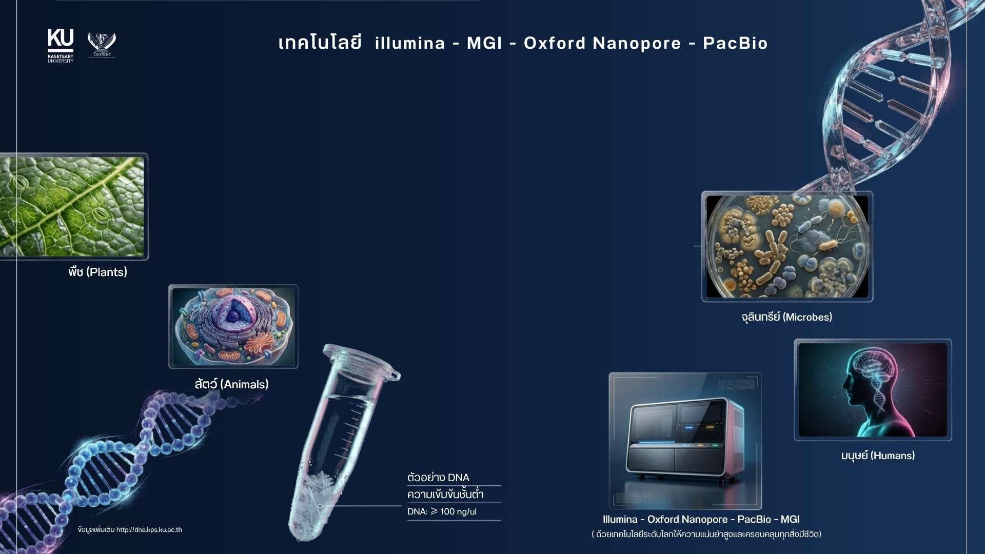 cover-image