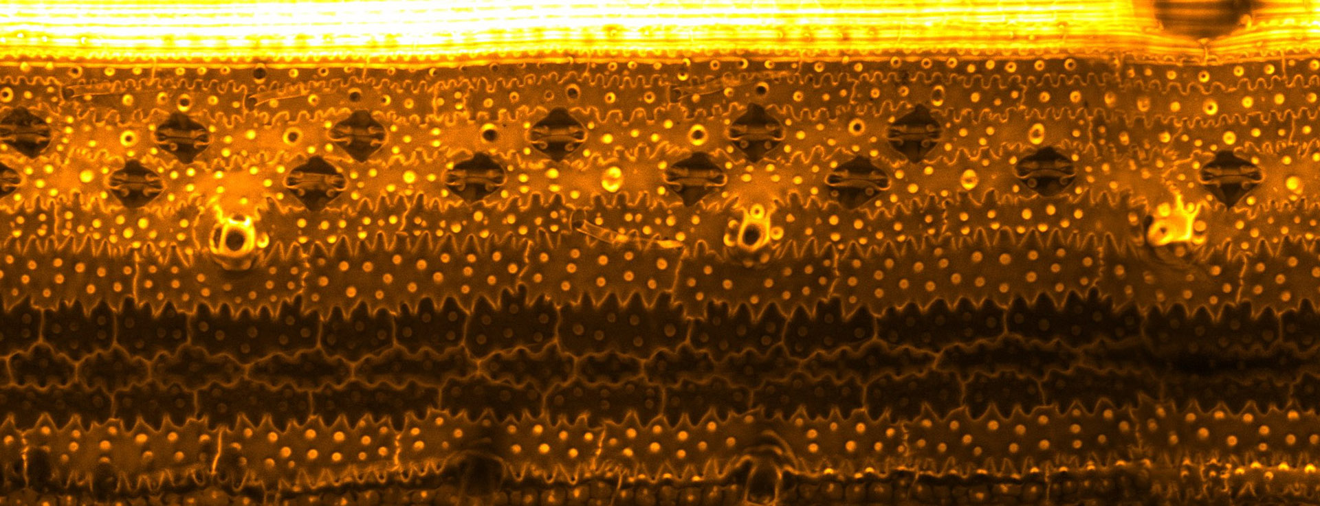 cover-image