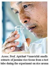 cover-image
