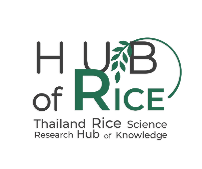 Thailand Rice Hub